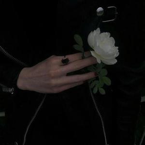 成人免费毛片内射网站
