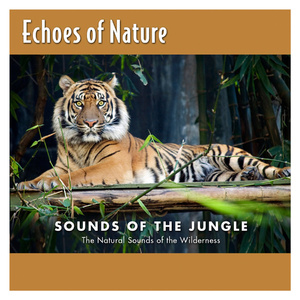 成人免费毛片内射网站
